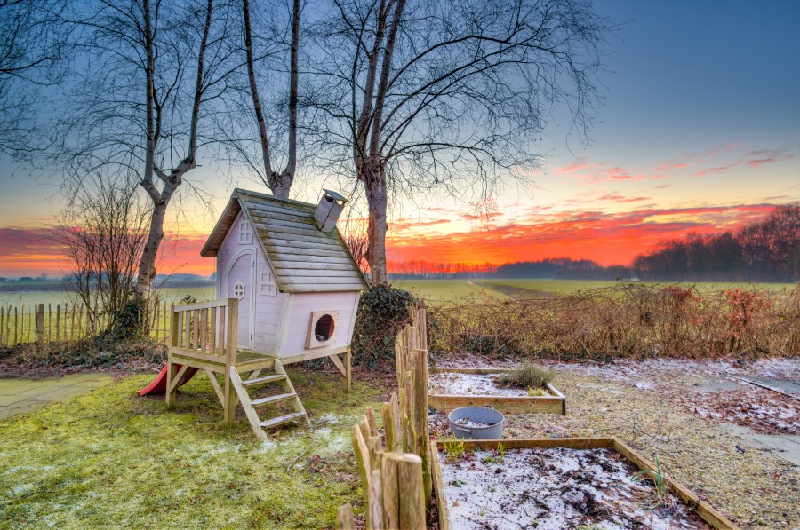 Cold back yard