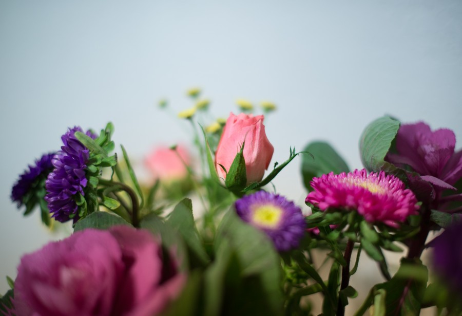 Little pink and purple flowers