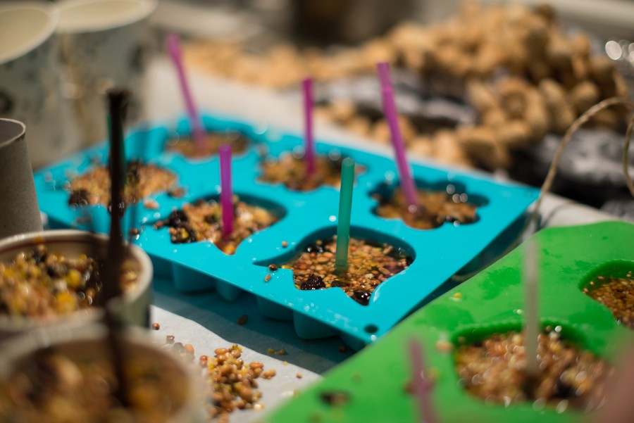 Bird food