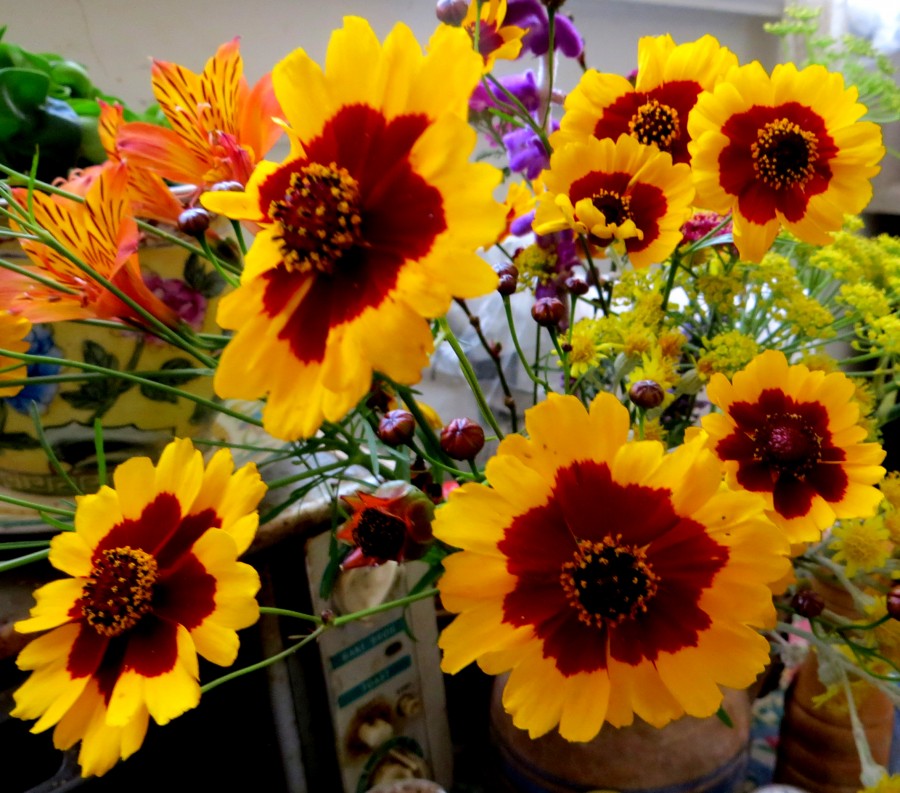 two-tone flowers