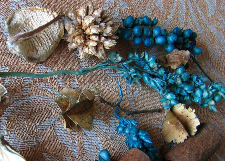 colorful dried plants