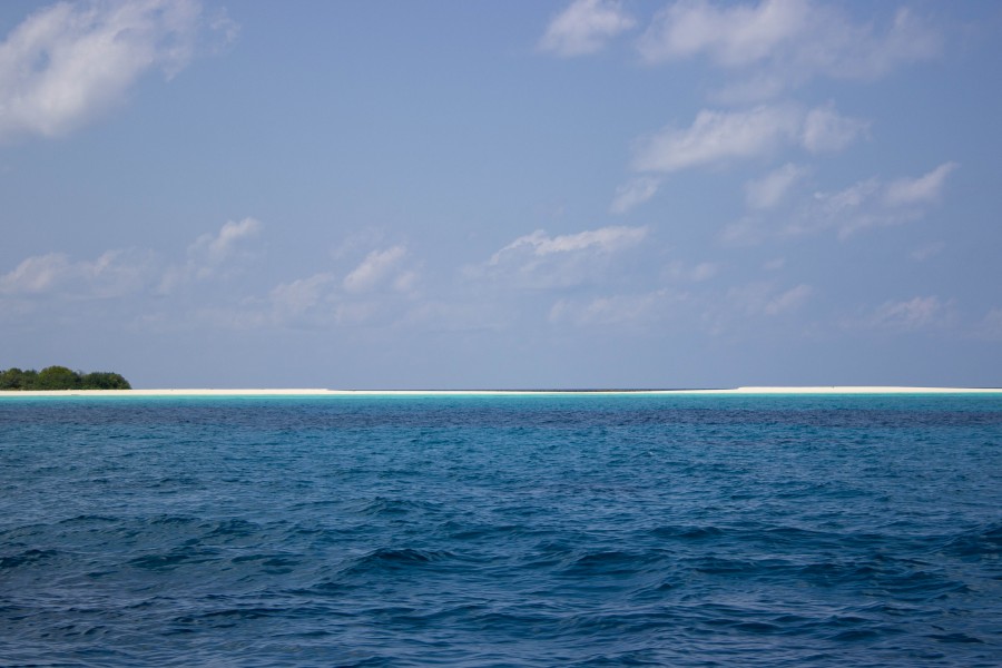 Island in the sea