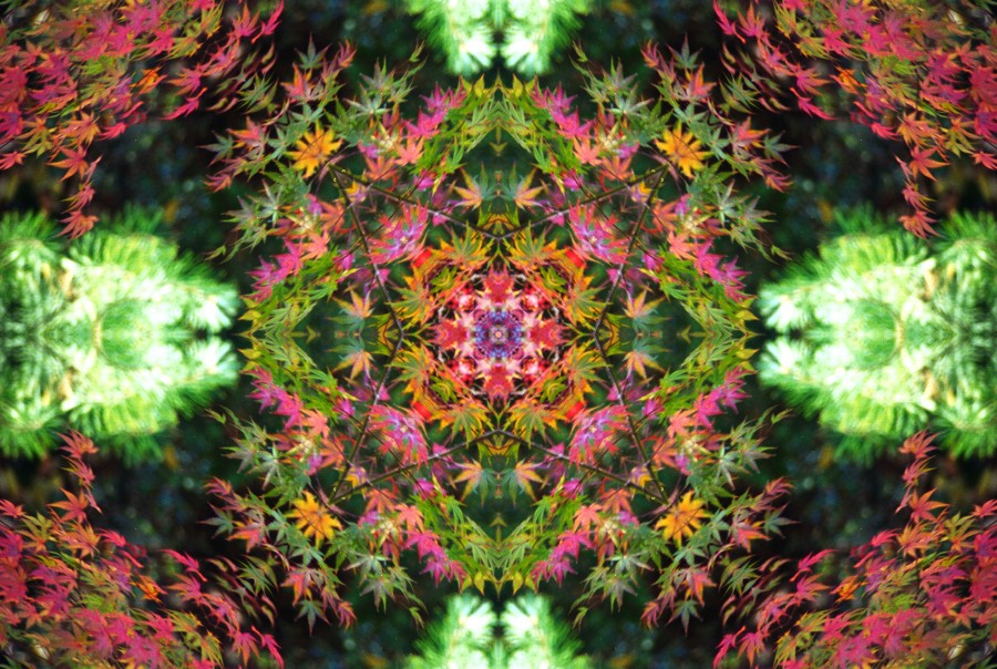 kaleidoscope design 75