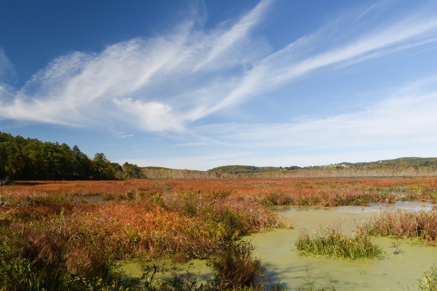Autumn sky over the bog