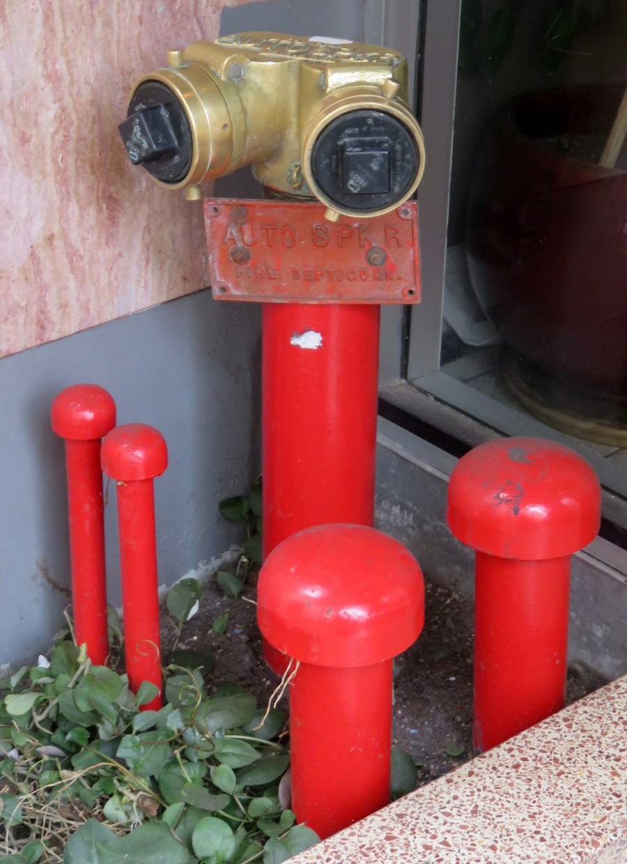 water pipe family