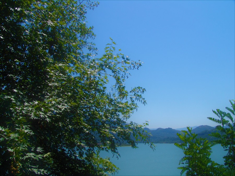 Manzara
