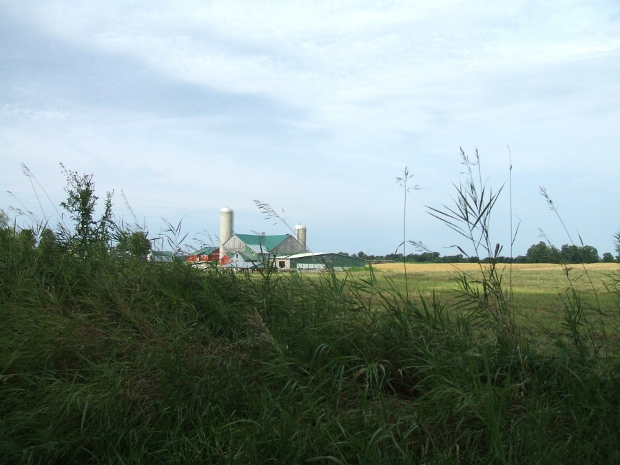Farmland