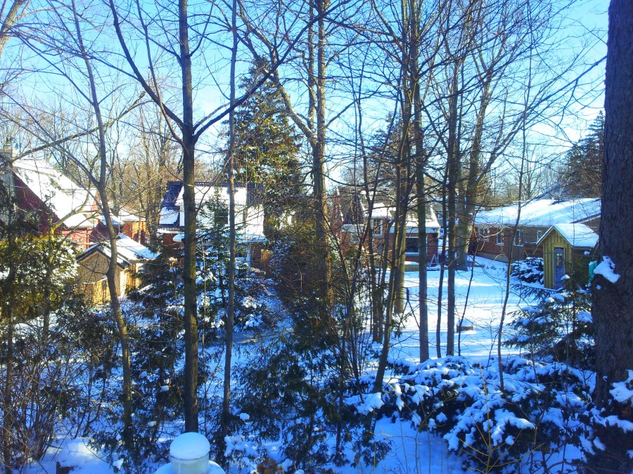 Winter idyll
