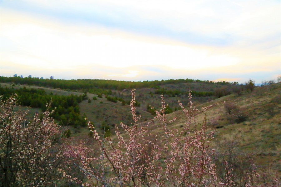 spring 1