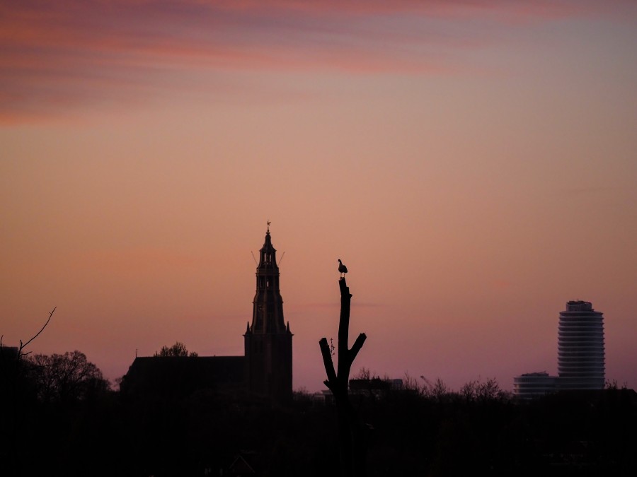 Groningen skyline