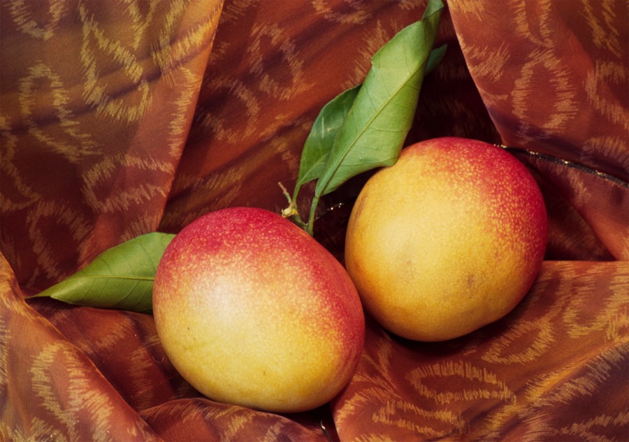 mangoes