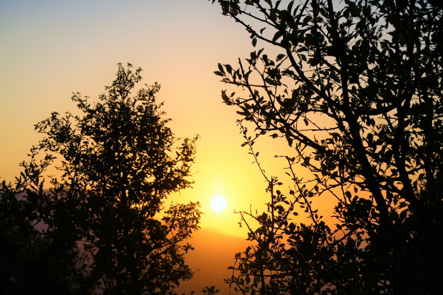 sunset