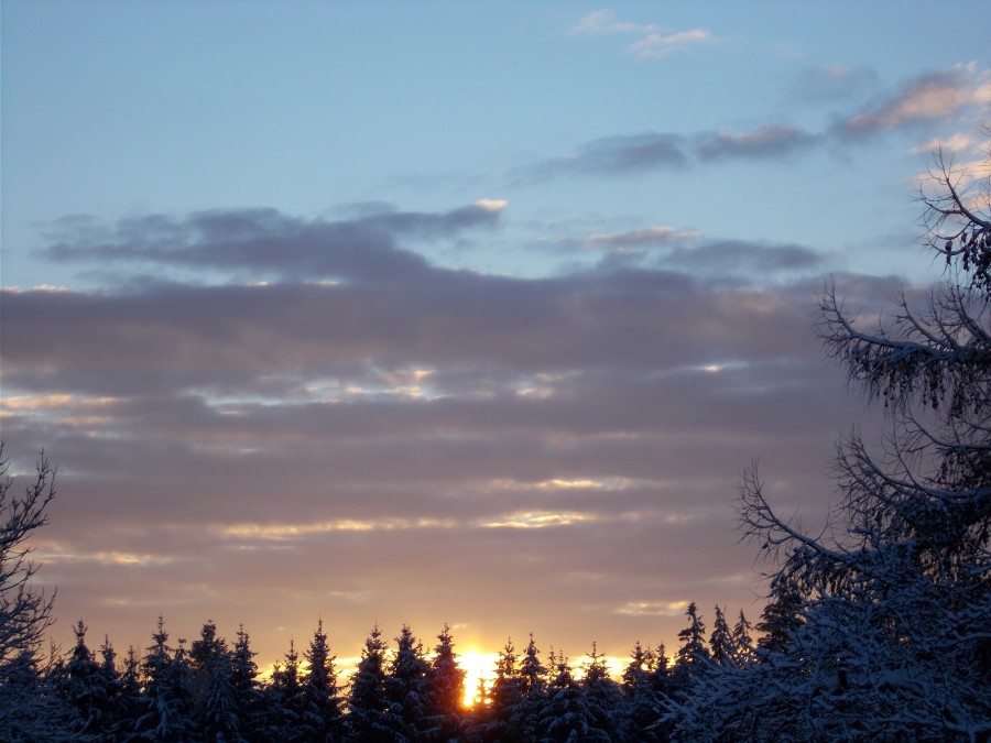 Sunrise