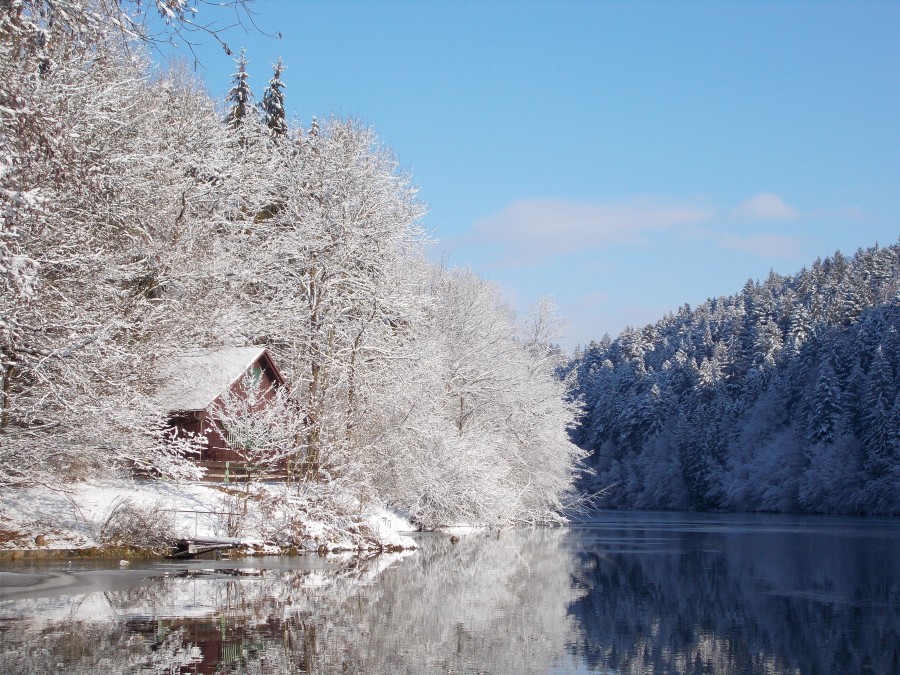 Winter