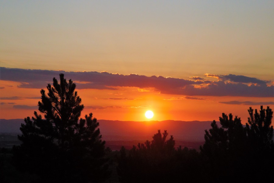 sunset