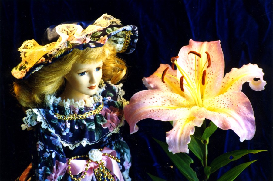 doll and lily