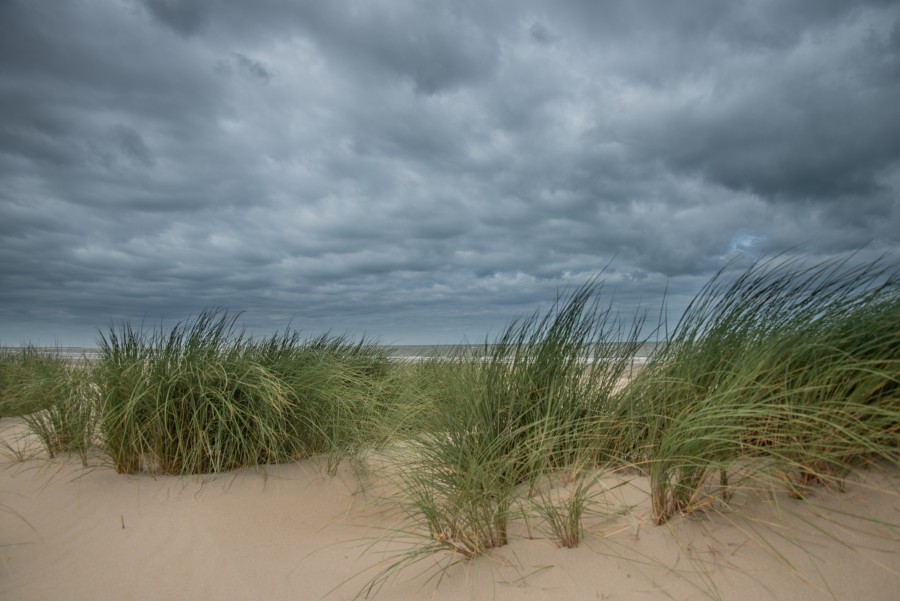 Dunes at France 
