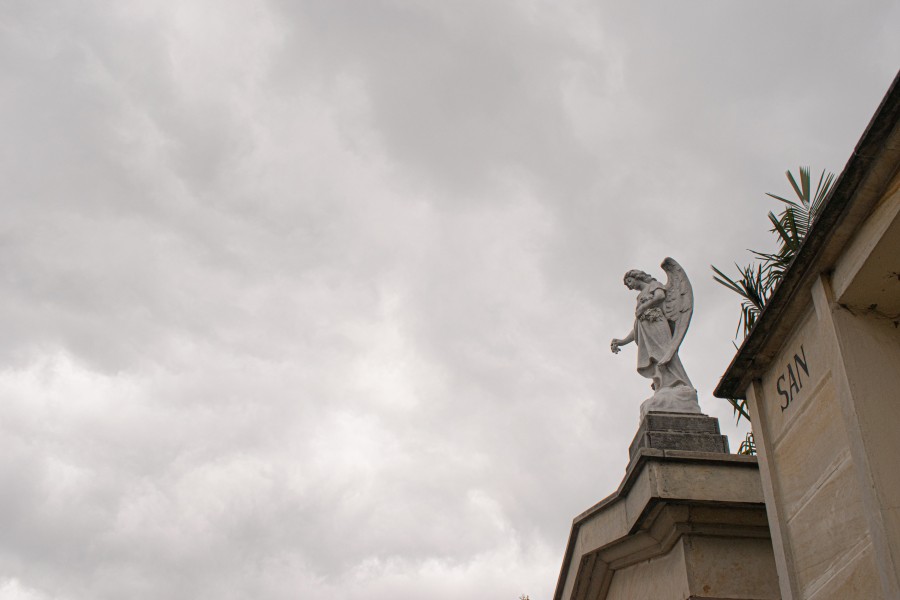 The angel