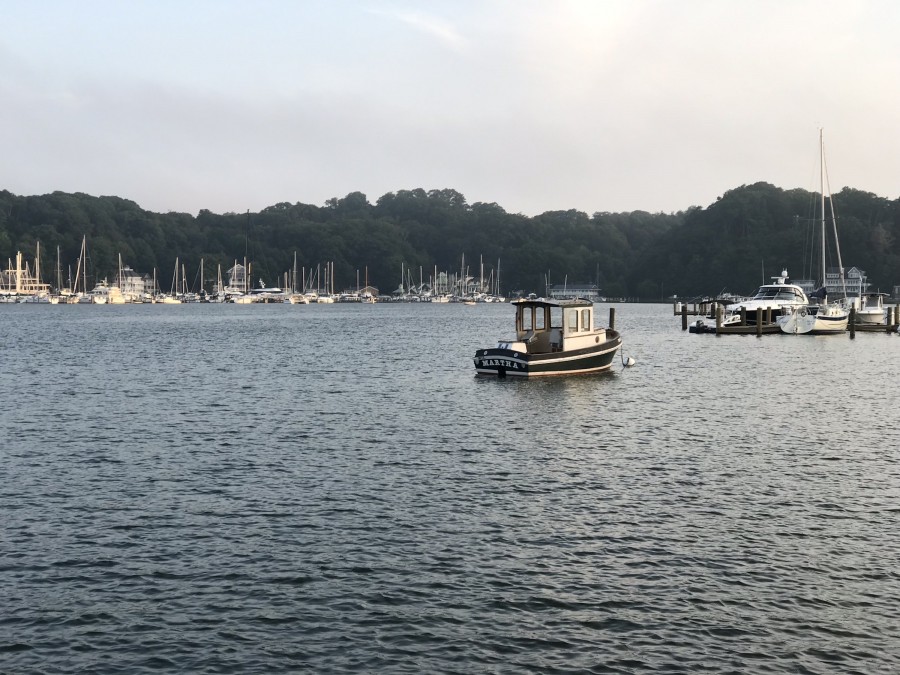 Boats in the Marina
