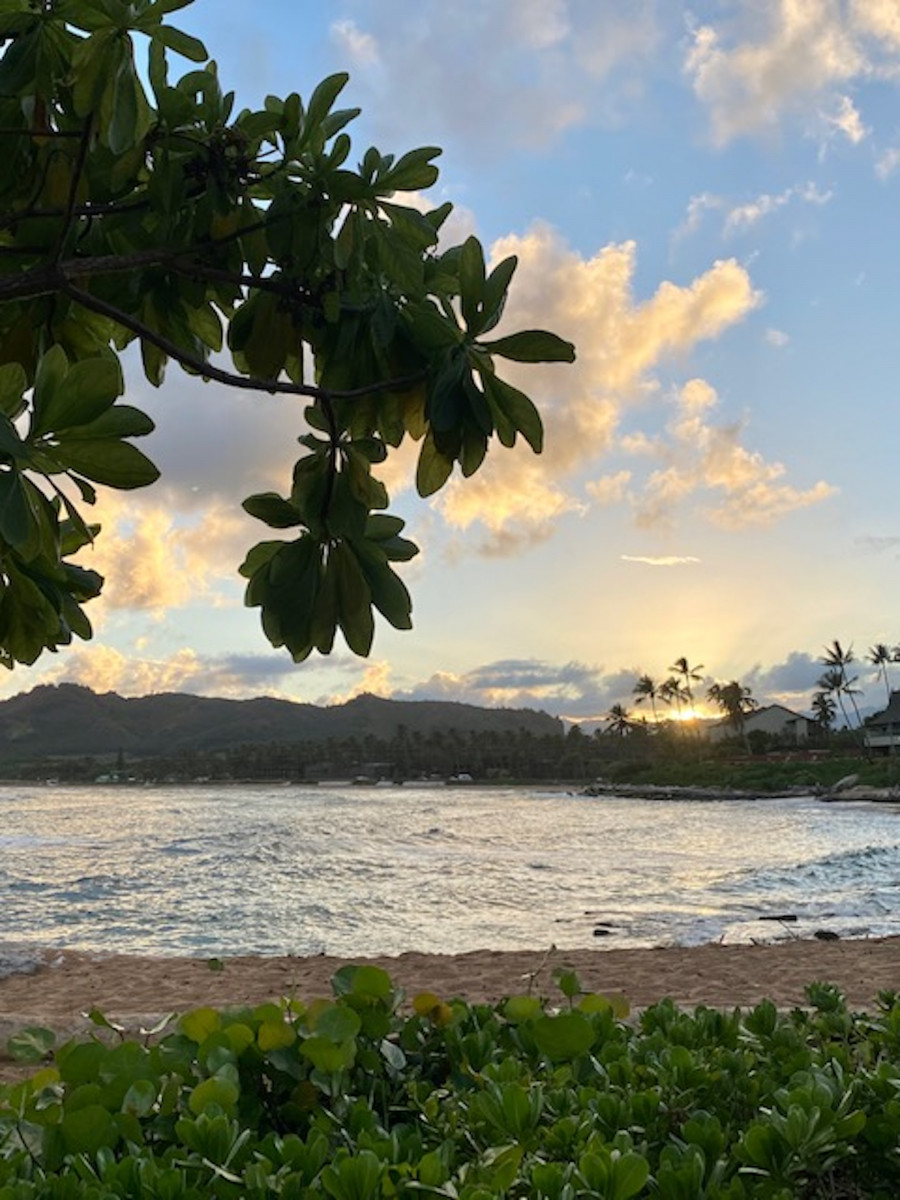 sunset at the beach