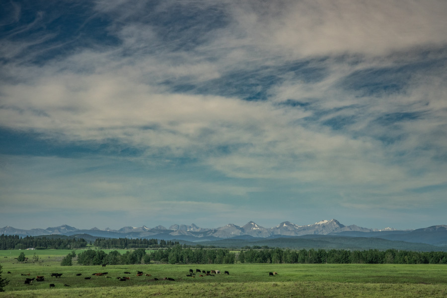 Rocky mountains