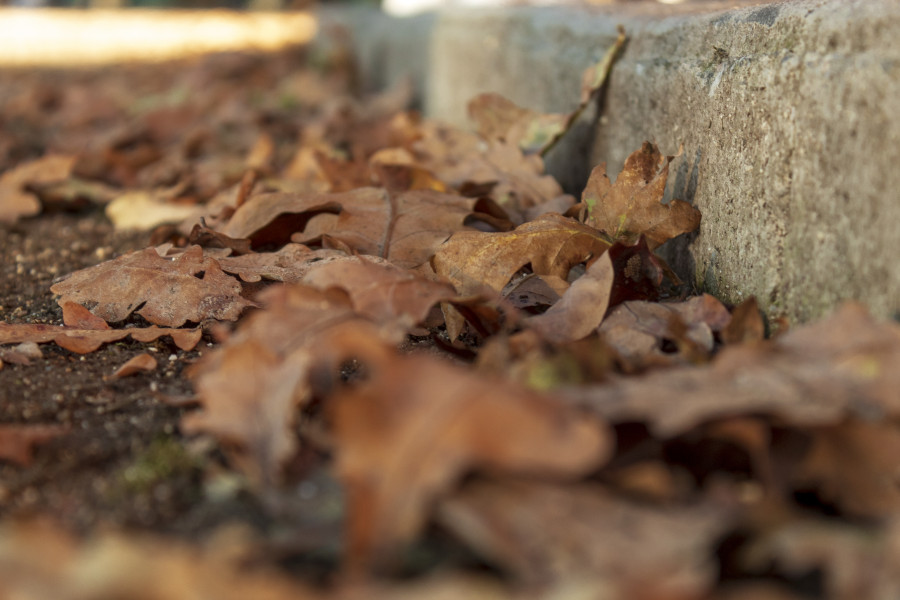AUTUNNO 2022