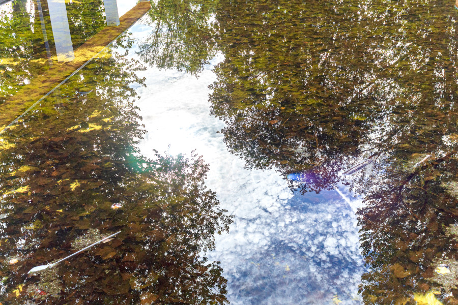 riflessi
