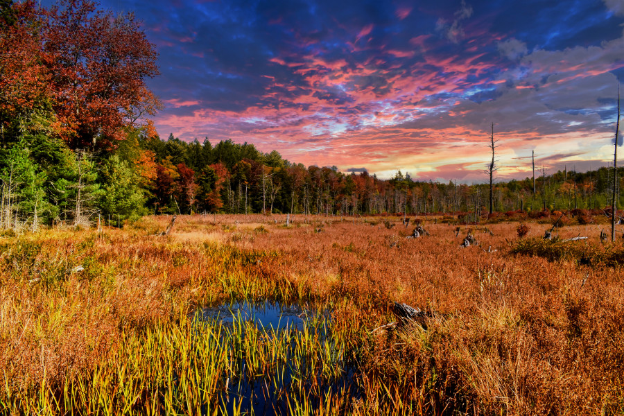 Sunset on the marsh