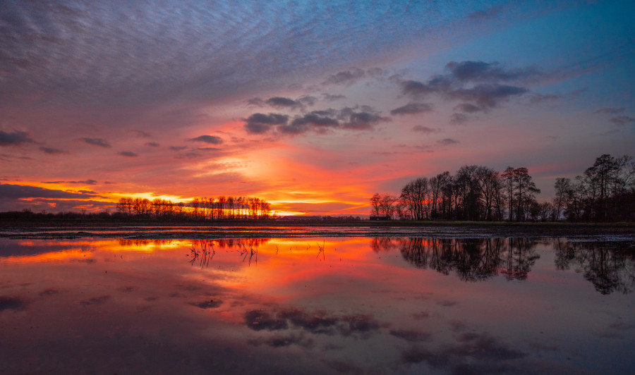 sunny lake sunset