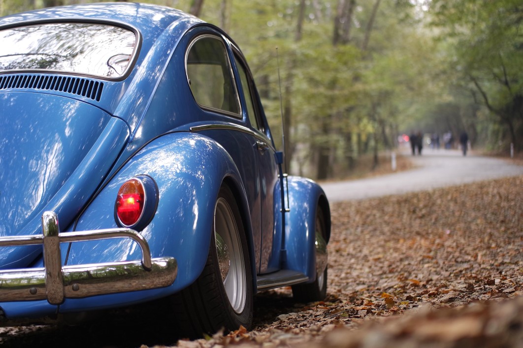 Blue Volkswagen Beetle Forest