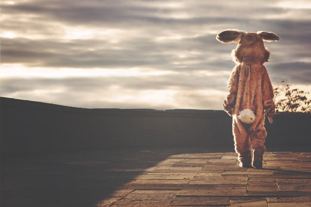Bunny Rabbit Costume Sunset