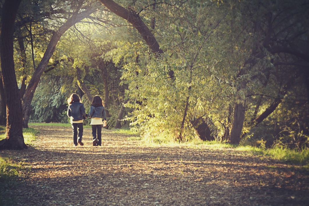 Children Kids Walk Forest Trail