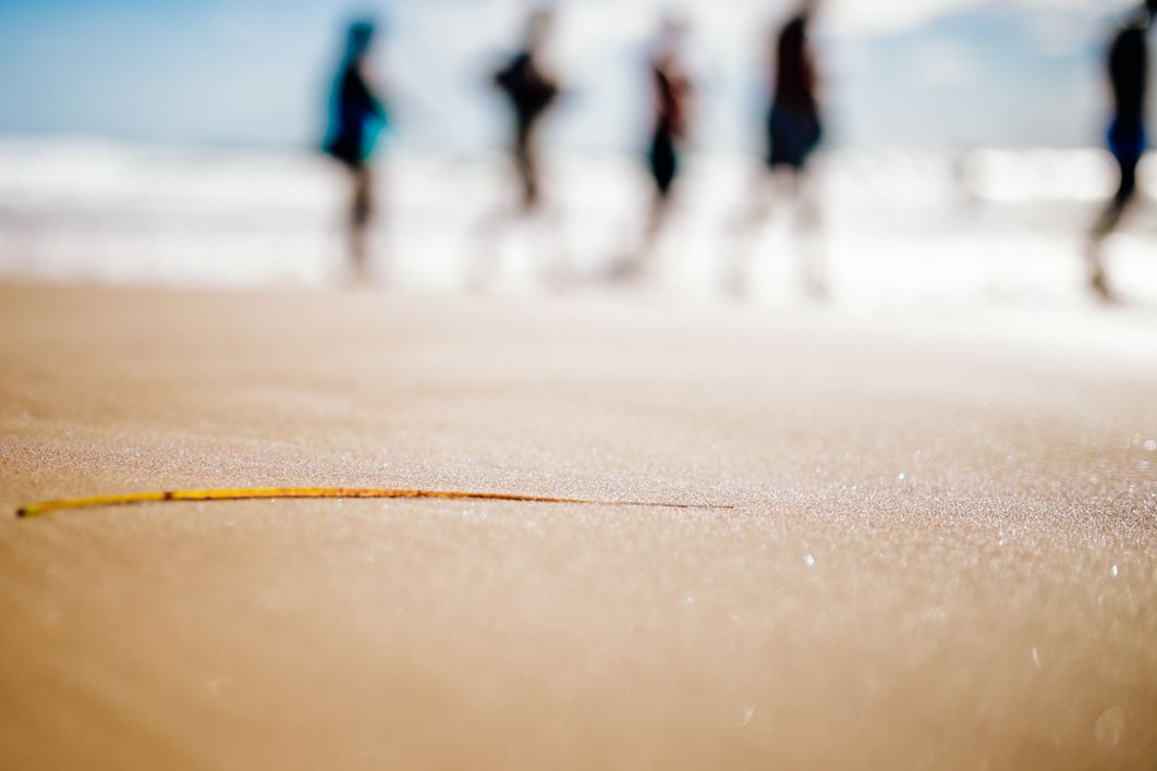 People Beach Sand Blurry