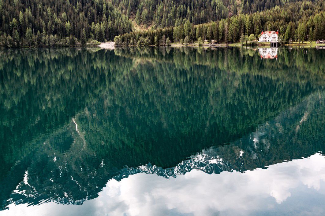 Conifer Trees Lake Reflection