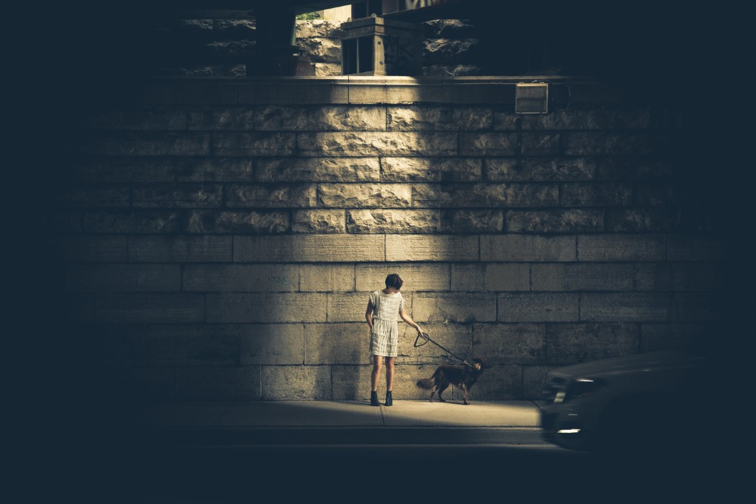 Walking Dog Street