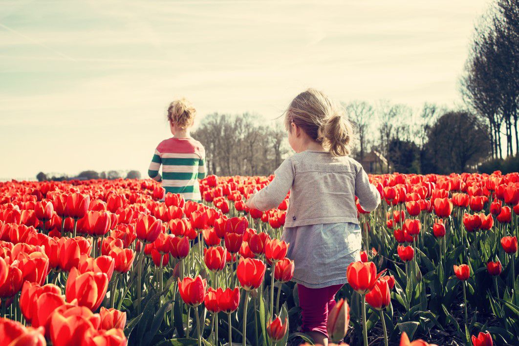 Children Red Tulips Garden Field