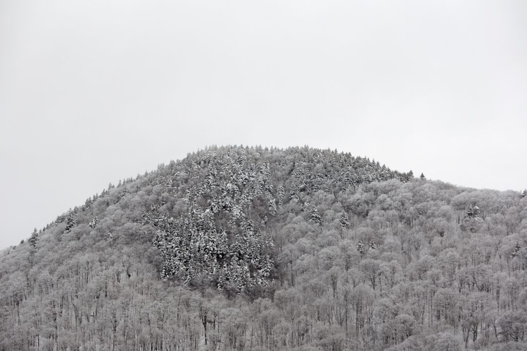 Winter Mountain
