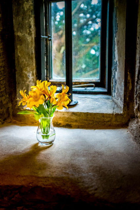 Flower Vase Window