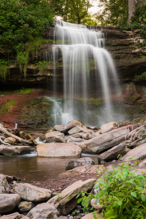 Waterfall Forest