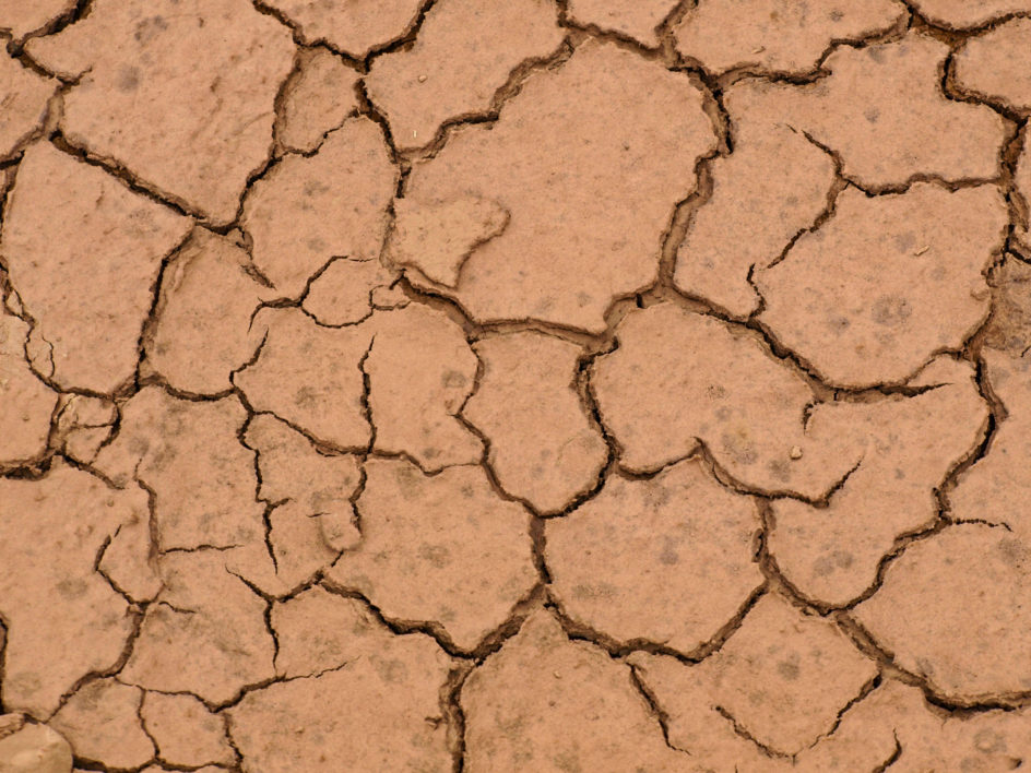 Dirt Texture Muddy