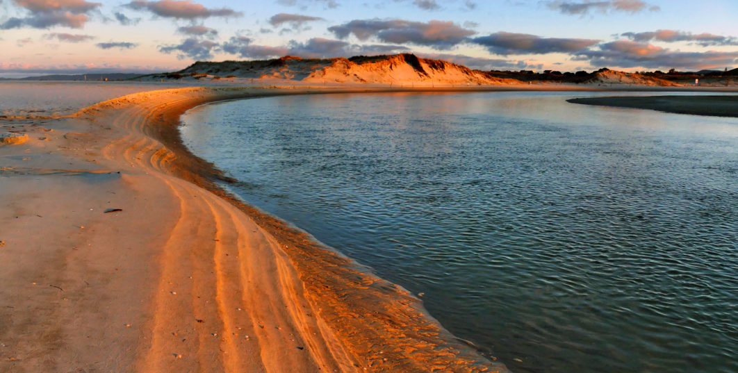 Beach Coast