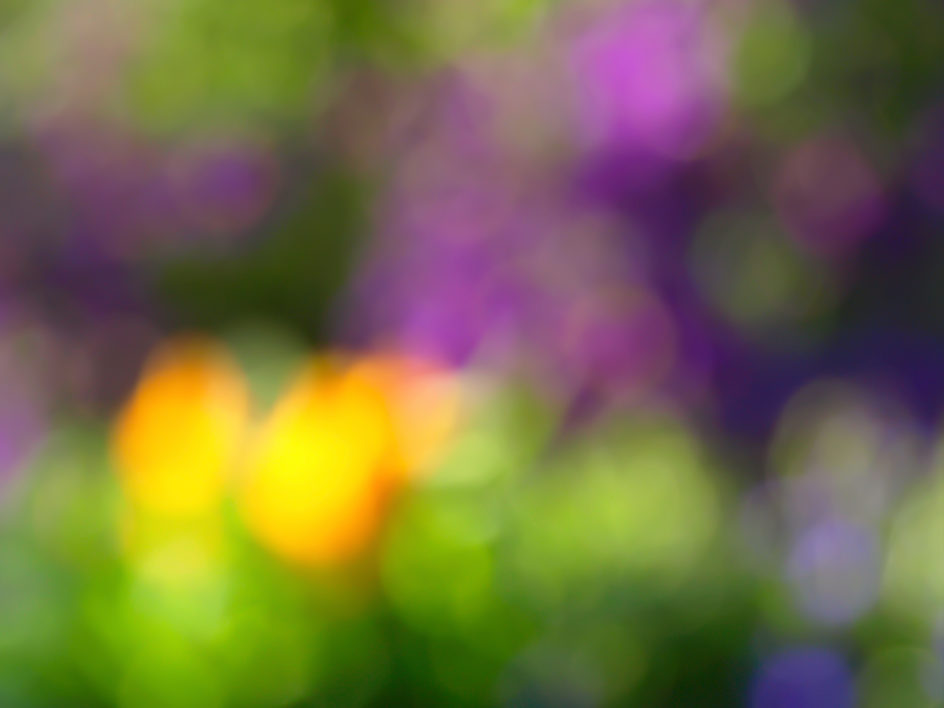 Bokeh Colorful