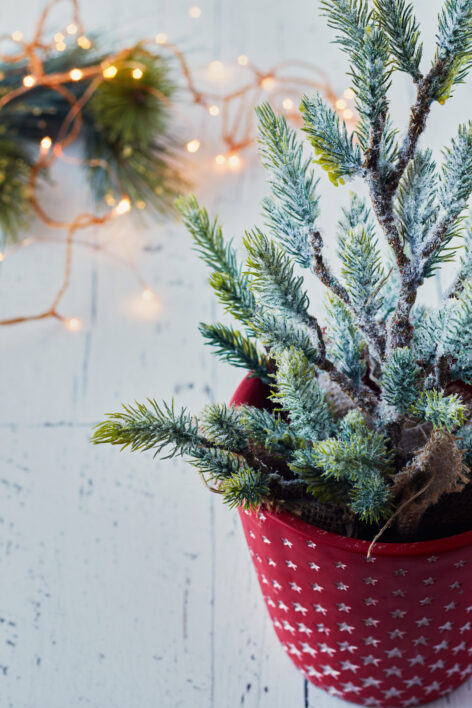 Christmas Tree Background