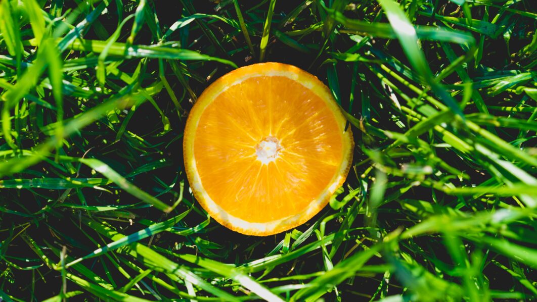 Orange Fruit