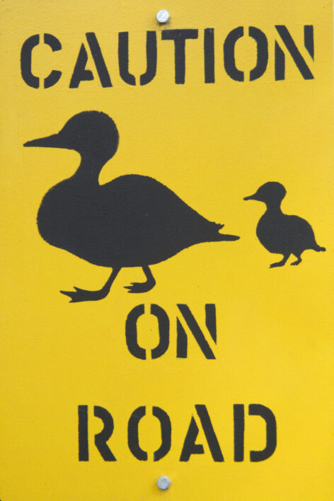Street Sign Crossing