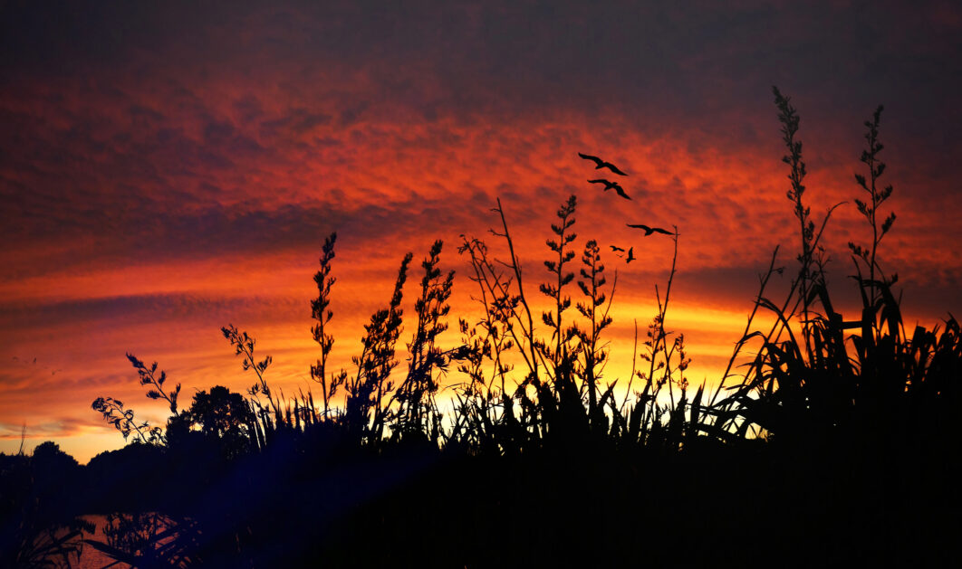 Evening Sky Dusk