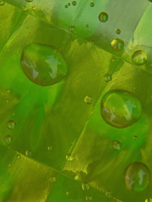 Water Droplets Fabric