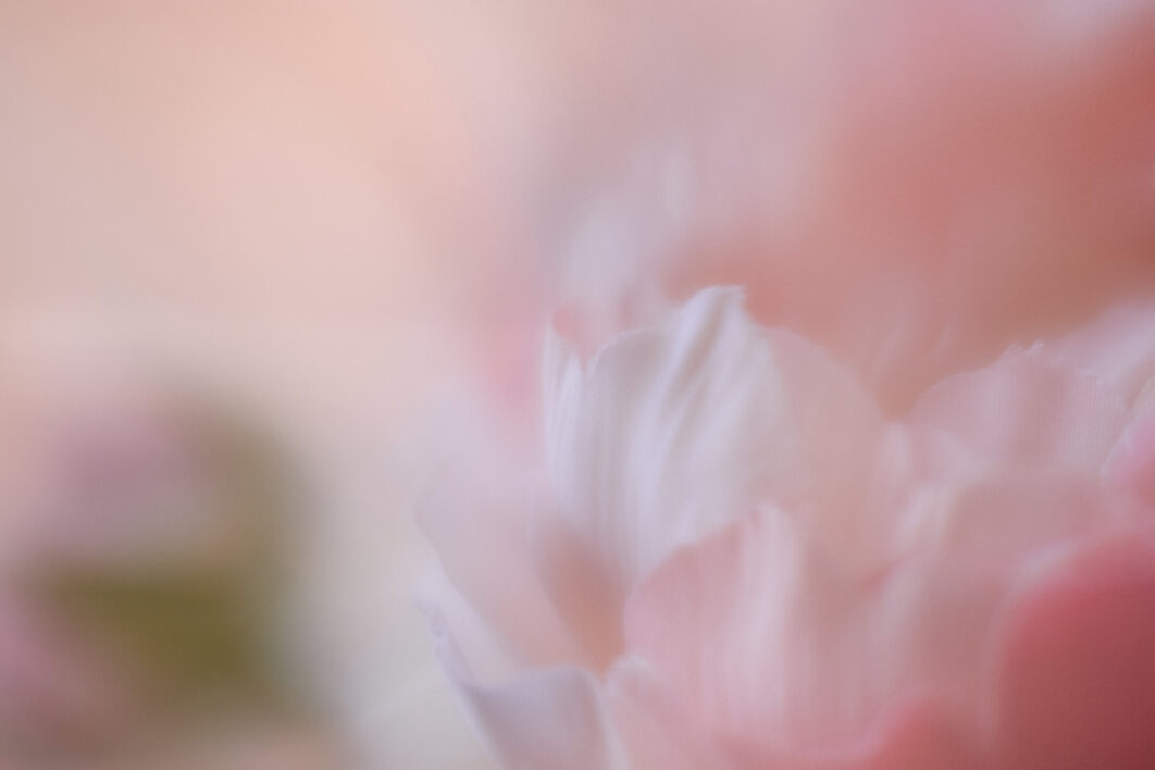 Abstract Flower Background