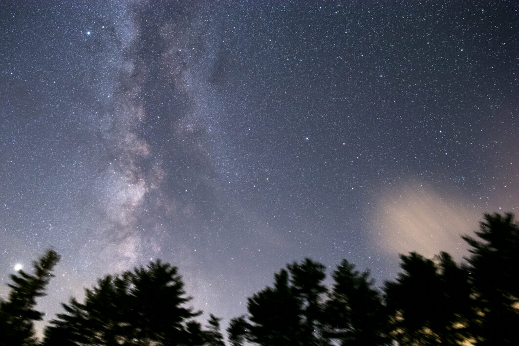 Night Tree Starry