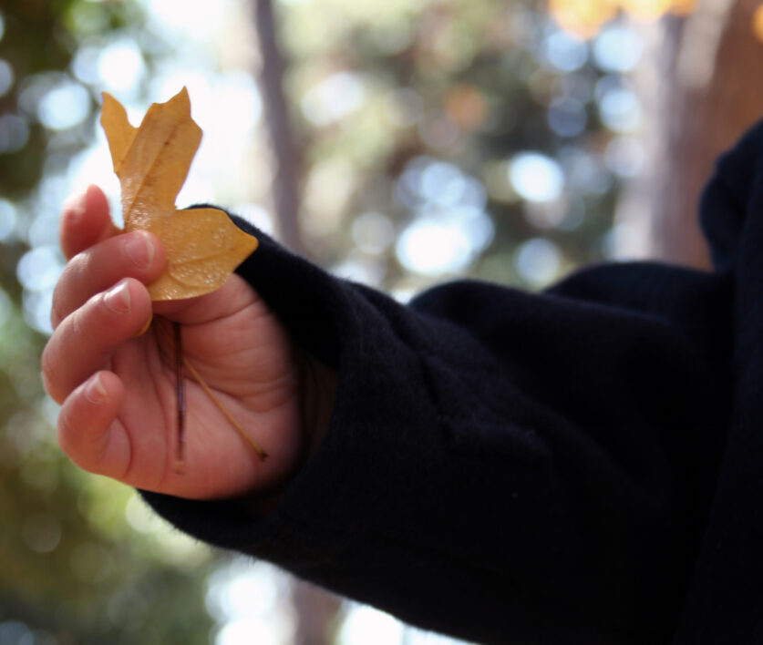 Nature Leaf Child